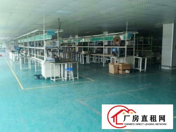  无尘车间！长安镇新出楼上800平方，带有豪华装修，水电齐全