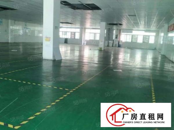  无尘车间！长安镇新出楼上800平方，带有豪华装修，水电齐全