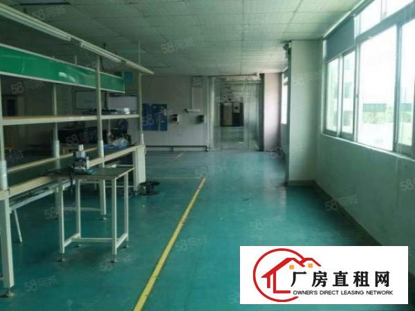  无尘车间！长安镇新出楼上800平方，带有豪华装修，水电齐全