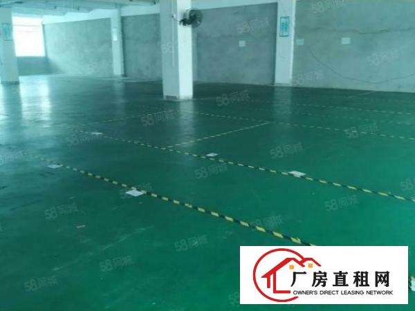  无尘车间！长安镇新出楼上800平方，带有豪华装修，水电齐全