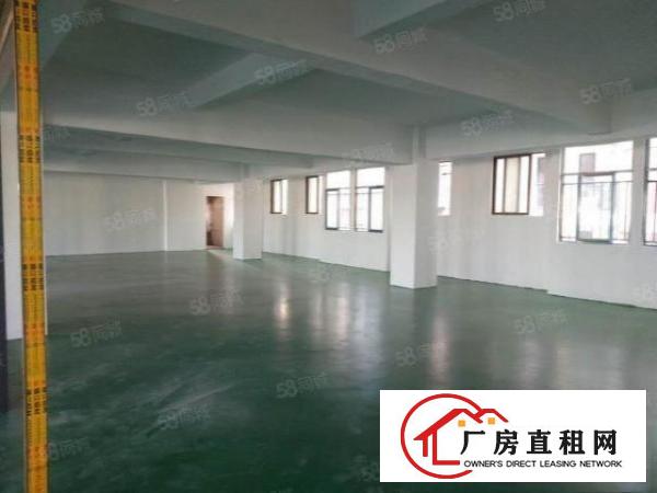  霄边新出楼上800平可分全新独栋厂房电子贸易的福音