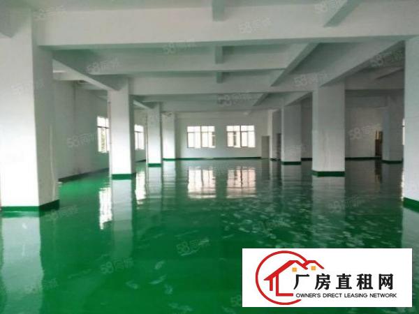  霄边新出楼上800平可分全新独栋厂房电子贸易的福音