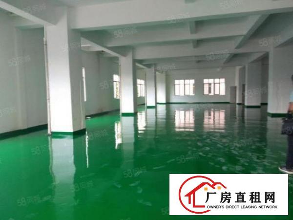  霄边新出楼上800平可分全新独栋厂房电子贸易的福音