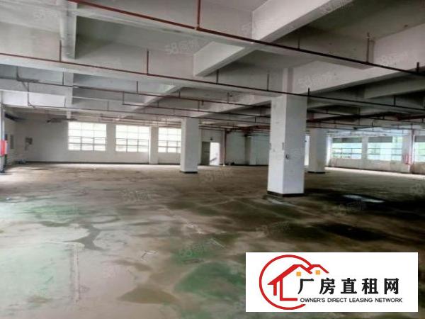  沙头新出独门独院13600平方空地超大