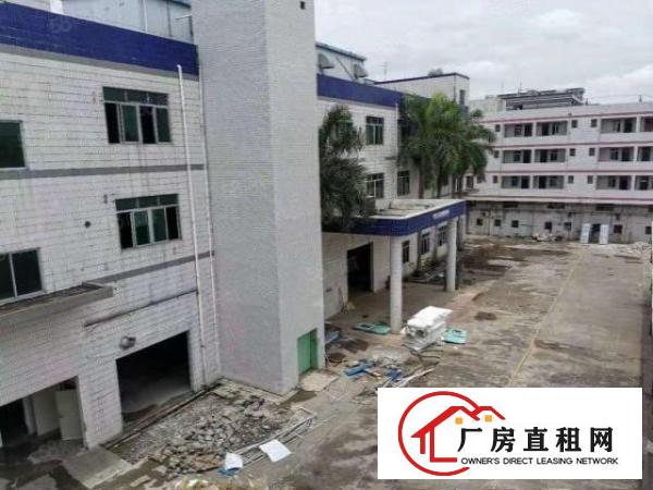  沙头新出独门独院13600平方空地超大