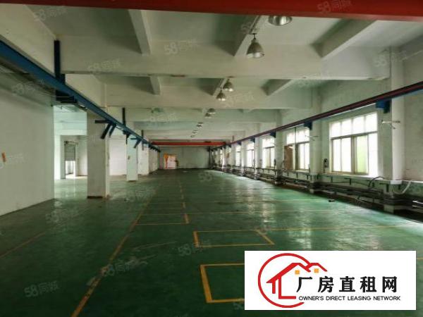  长安厂房出租厦岗新出一楼2400平米，200平米起分