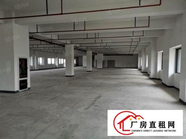  长安镇沙头楼上35000平原房东电商仓库出租贸易仓库出租分租