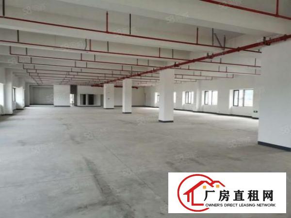  长安镇沙头楼上35000平原房东电商仓库出租贸易仓库出租分租