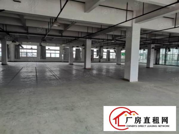  长安镇沙头楼上35000平原房东电商仓库出租贸易仓库出租分租