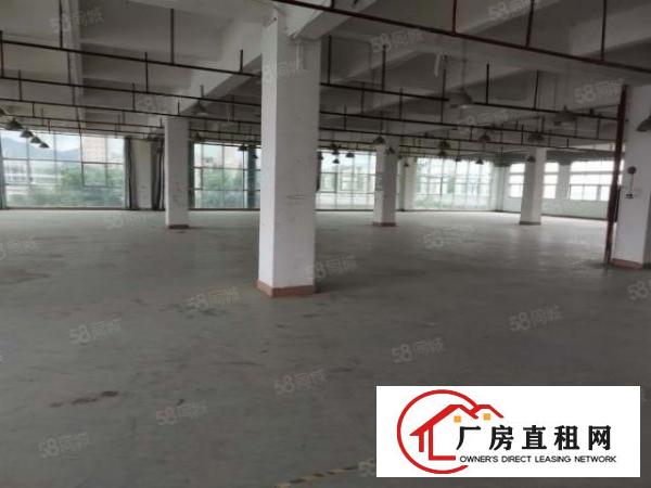  长安镇沙头楼上35000平原房东电商仓库出租贸易仓库出租分租