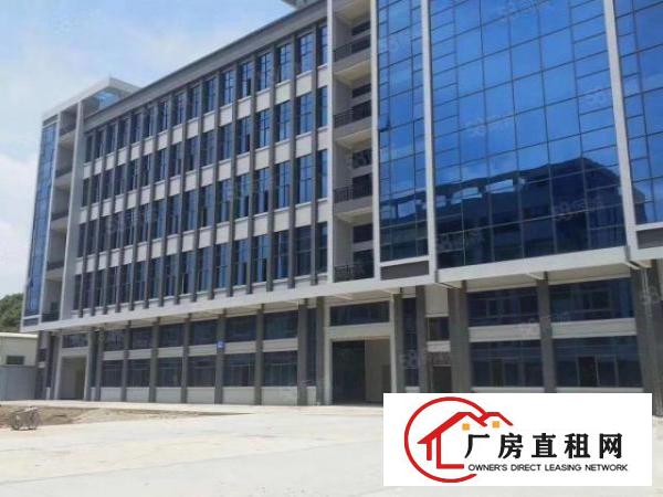  长安镇沙头楼上35000平原房东电商仓库出租贸易仓库出租分租