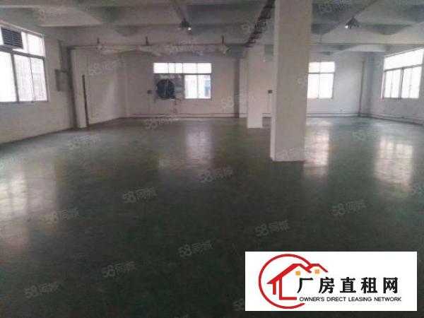  长安沙头新空出带装修厂房500平出租