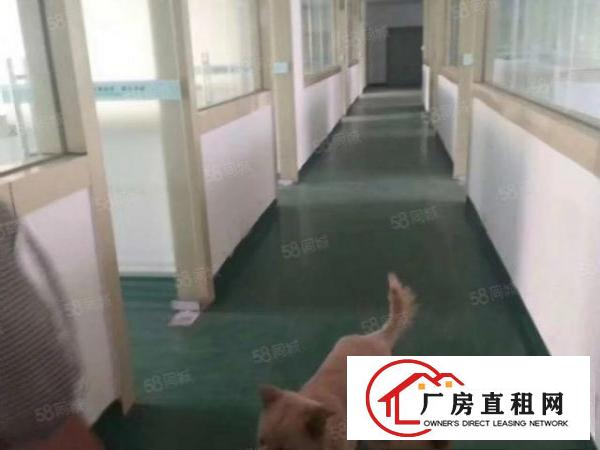  长安沙头新空出带装修厂房500平出租