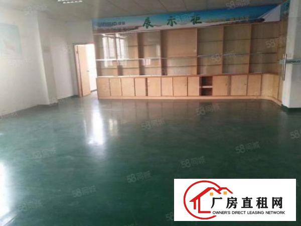  长安沙头新空出带装修厂房500平出租