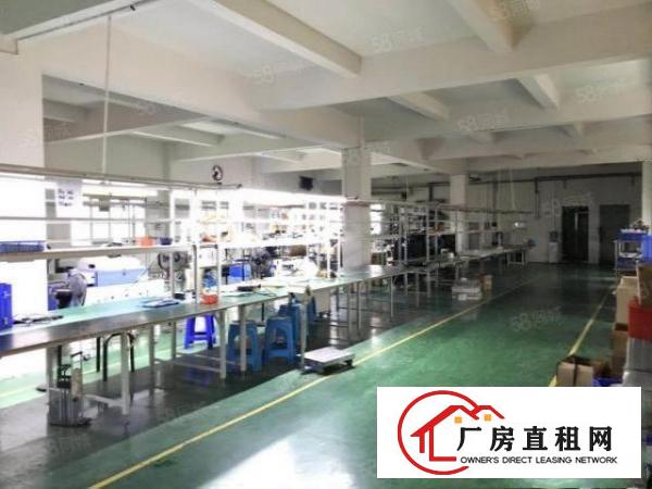  厦岗新出一楼350平方21元带装修厂房出租