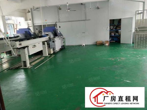  厦岗新出一楼350平方21元带装修厂房出租