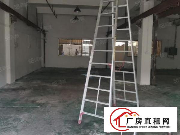  沙头南区新空出带行车一楼580平方厂房招租