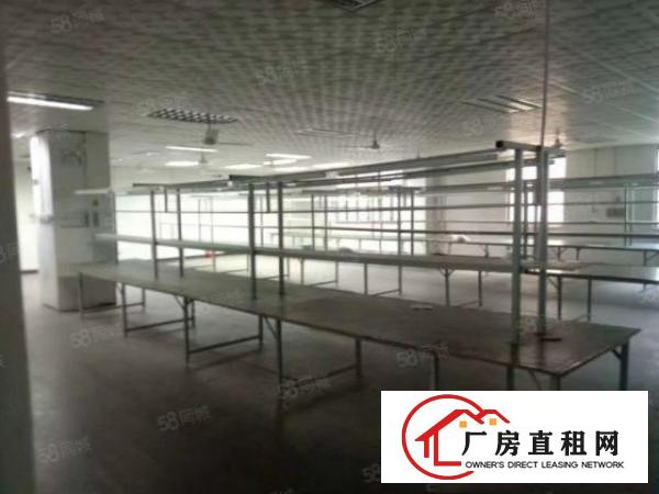  长安乌沙大润发旁新空出650平带装修厂房出租