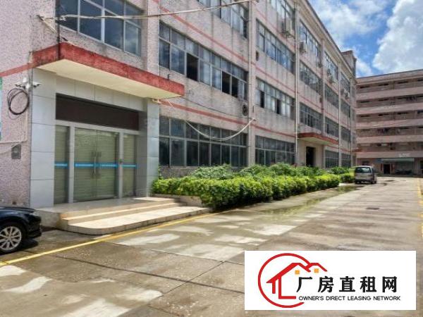  东莞长安工业园2万平厂房出租精装修一楼仓房500平起分租