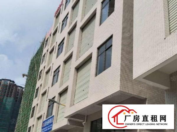  长安锦厦高速出口附近新出一楼全新550平方厂房招出租