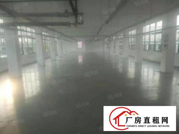  沙头南区大康惠附近新出楼上450厂房招租