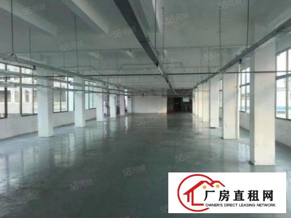  沙头南区大康惠附近新出楼上450厂房招租