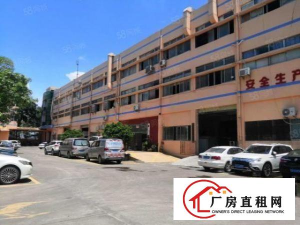  锦厦一楼新出2700平厂房出租周围交通便利方便进出大货车
