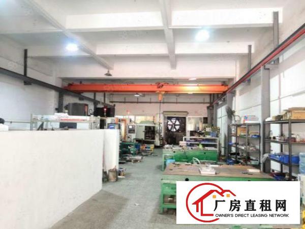  锦厦一楼新出2700平厂房出租周围交通便利方便进出大货车