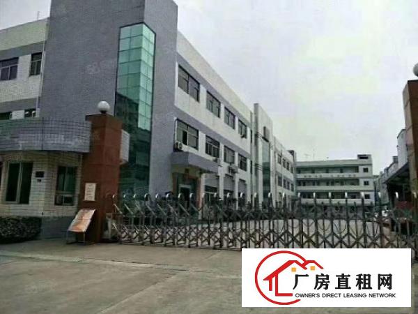  长安镇厦边新出8500平独门独院厂房原房东出租分租