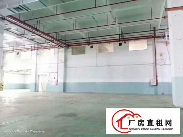  长安乌沙标准重工业厂房出租，层高8米，价格好谈，面积实在