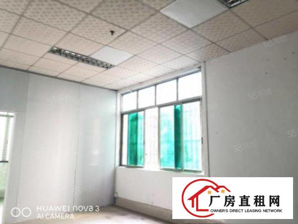  沙头南区一楼1500平25元出租（带装修和行车）