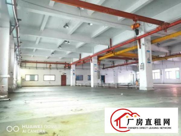  沙头南区一楼1500平25元出租（带装修和行车）