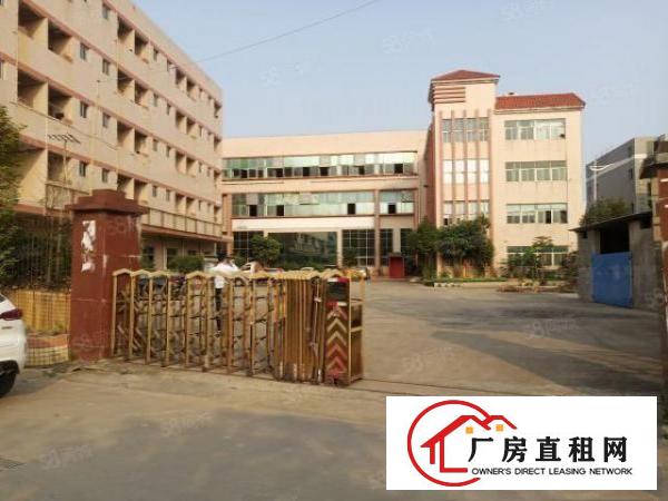  长安镇乌沙新出3楼整层1800平方火爆招租带豪华装修无转让费