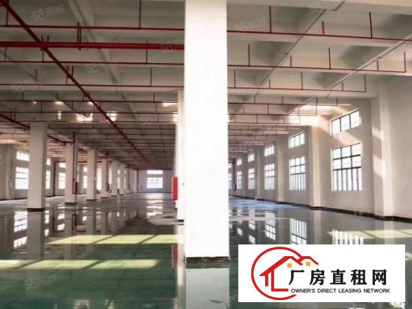  靓全新厂房！虎门靠长安新建每层3850平重工业厂房，可分租