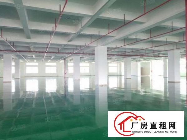  靓全新厂房！虎门靠长安新建每层3850平重工业厂房，可分租