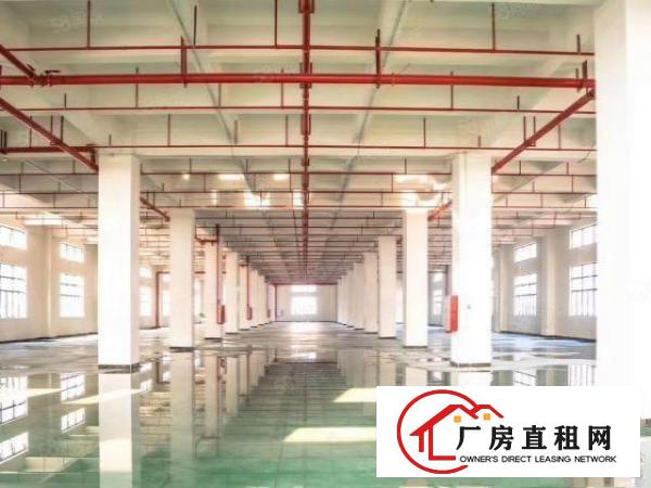  靓全新厂房！虎门靠长安新建每层3850平重工业厂房，可分租