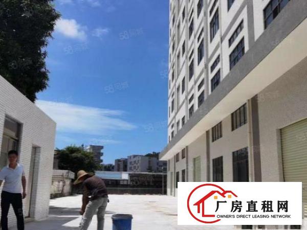  靓全新厂房！虎门靠长安新建每层3850平重工业厂房，可分租