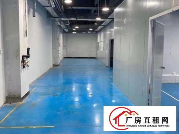  乌沙新出无尘车间2300平方水电齐全