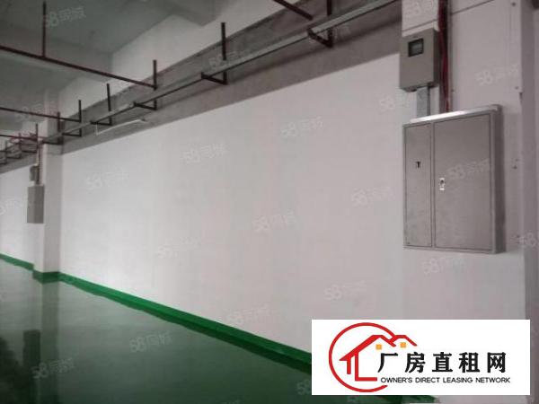  靓房！靓房！长安楼上全新精装修950平方厂房，自带消防喷淋