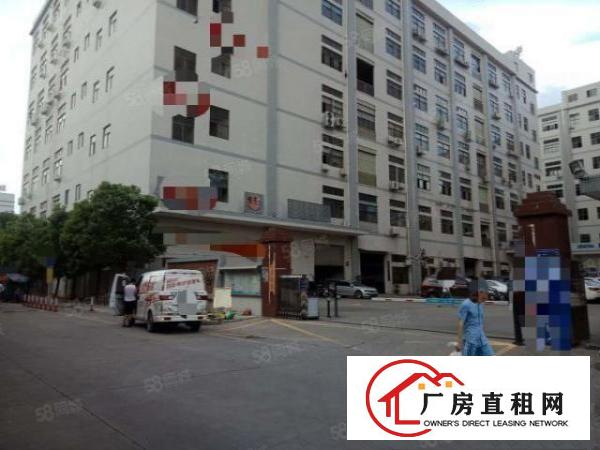  靓房！靓房！长安楼上全新精装修950平方厂房，自带消防喷淋