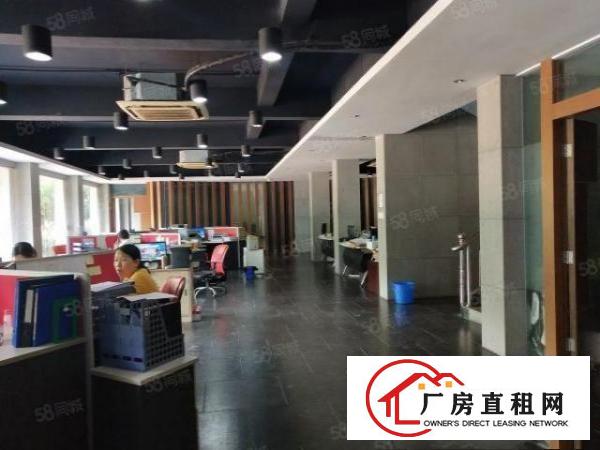  虎门新出单层独院5000平方可分租，滴水10米现成行车免费用