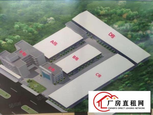  长安新安大桥旁独院钢构厂房出租1100平空地大