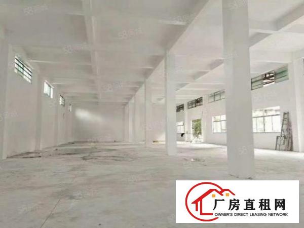  长安新民新空出标准单一层厂房900平，高度6米。适合各行各业