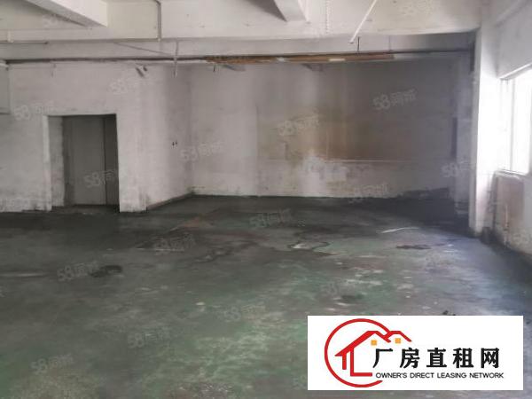  新安大桥新空出单一层钢构厂房招租