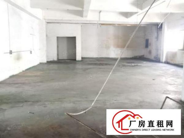  新安大桥新空出单一层钢构厂房招租