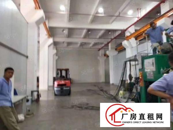  出租，一楼2100平，有牛角，高度7米，院子大，形象佳，