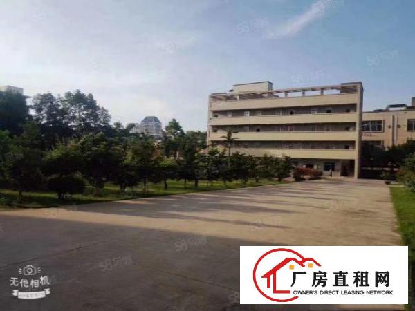  出租，一楼2100平，有牛角，高度7米，院子大，形象佳，