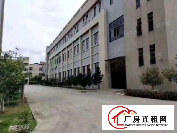  出租，一楼2100平，有牛角，高度7米，院子大，形象佳，