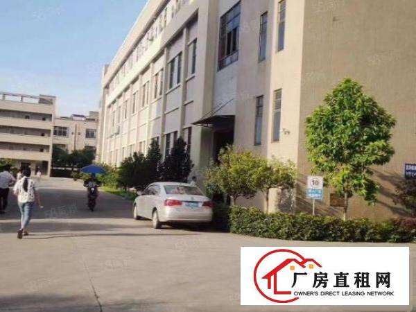  出租，一楼2100平，有牛角，高度7米，院子大，形象佳，
