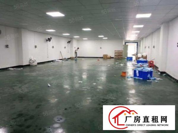  长安厦边新空一楼530平带装修厂房，地坪漆吊顶办公室水电齐全
